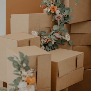 7 Ply Export Boxes